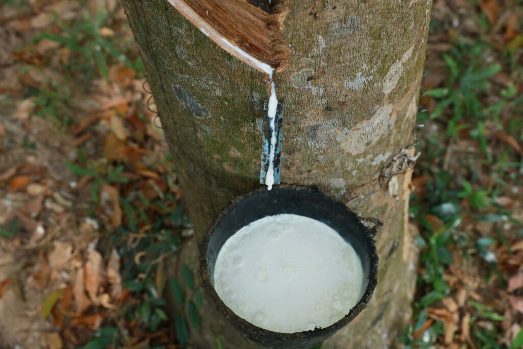 Raw Materials for Rubber Auto Parts